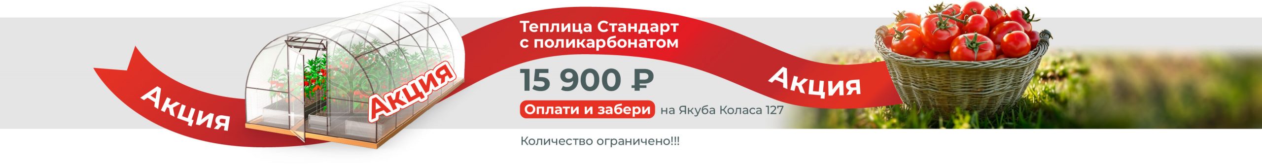 Акция! Теплица Стандарт с поликарбонатом от 15900Р